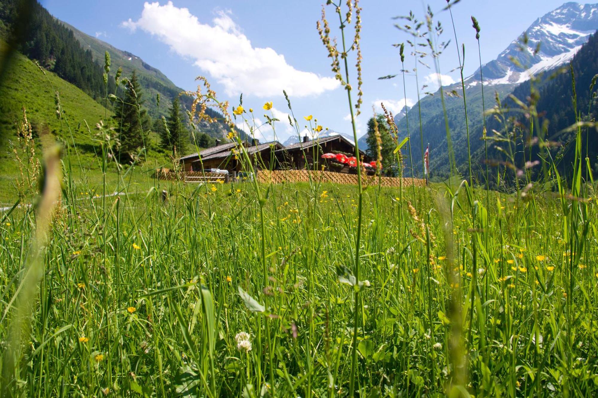 Senninger Alm Acomodação com café da manhã Hollersbach im Pinzgau Exterior foto
